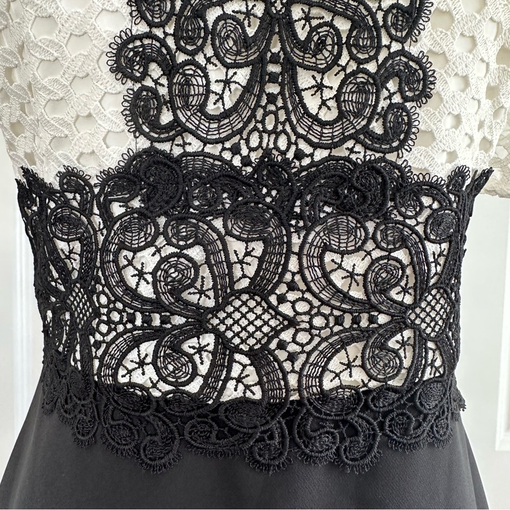 Zara As Seen on TV Black White Lace Crochet Cutout Sheath Dress Mock Neck Size S - Picture 4 of 13